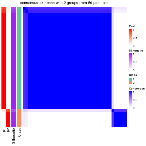 plot of chunk tab-node-013-consensus-heatmap-1