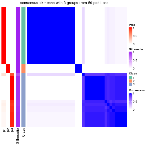 plot of chunk tab-node-013-consensus-heatmap-2