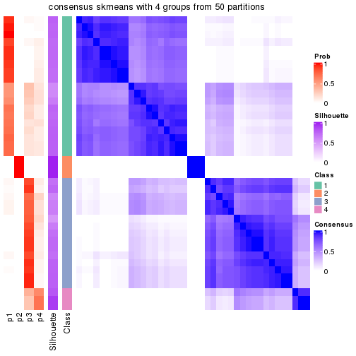 plot of chunk tab-node-013-consensus-heatmap-3