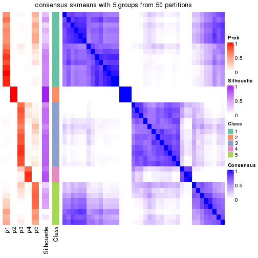 plot of chunk tab-node-013-consensus-heatmap-4