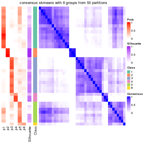 plot of chunk tab-node-013-consensus-heatmap-5