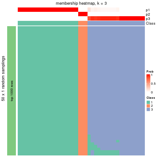 plot of chunk tab-node-013-membership-heatmap-2