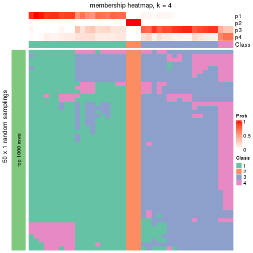 plot of chunk tab-node-013-membership-heatmap-3