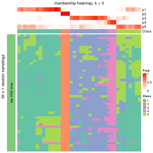 plot of chunk tab-node-013-membership-heatmap-4