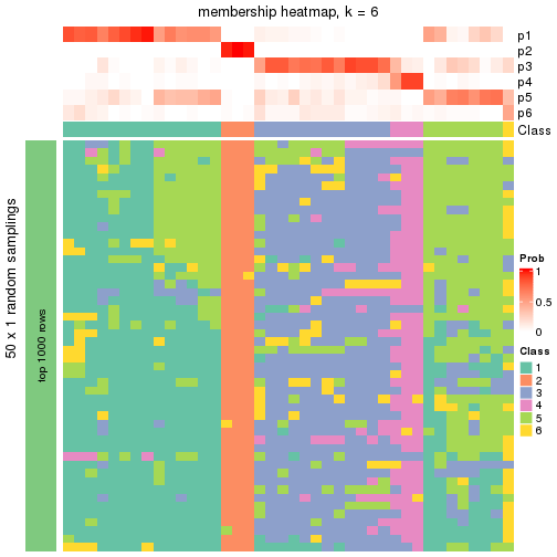 plot of chunk tab-node-013-membership-heatmap-5