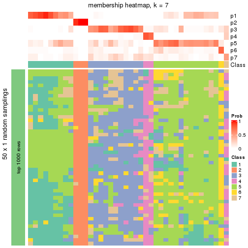 plot of chunk tab-node-013-membership-heatmap-6