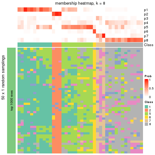 plot of chunk tab-node-013-membership-heatmap-7