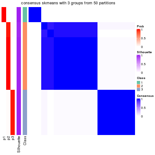 plot of chunk tab-node-014-consensus-heatmap-2