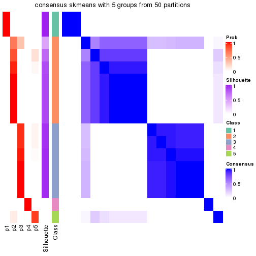 plot of chunk tab-node-014-consensus-heatmap-4