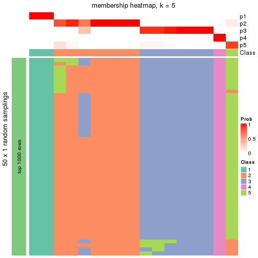 plot of chunk tab-node-014-membership-heatmap-4