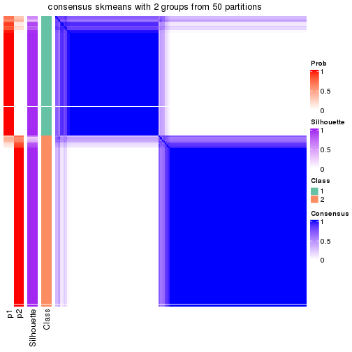 plot of chunk tab-node-02-consensus-heatmap-1