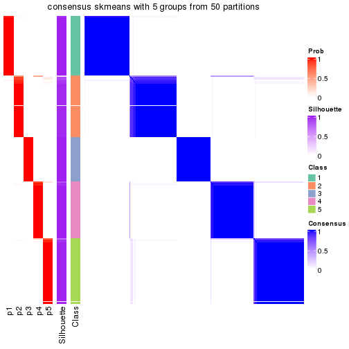 plot of chunk tab-node-02-consensus-heatmap-4