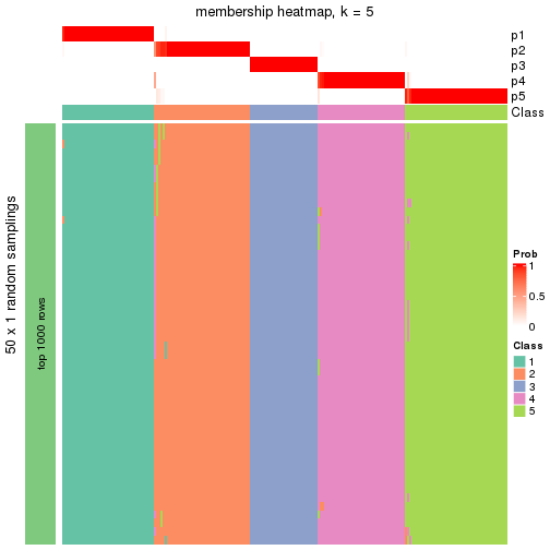 plot of chunk tab-node-02-membership-heatmap-4