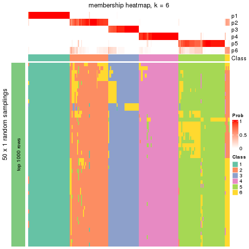 plot of chunk tab-node-02-membership-heatmap-5