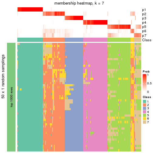 plot of chunk tab-node-02-membership-heatmap-6