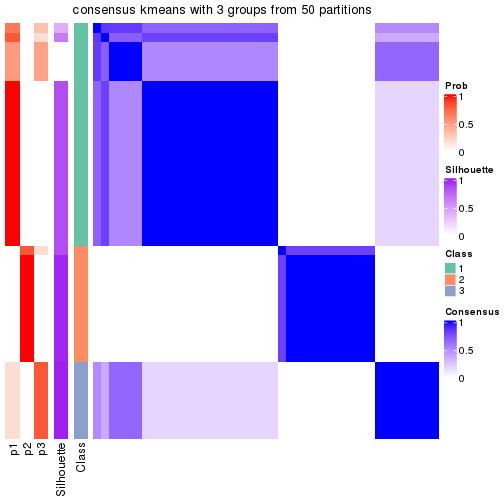 plot of chunk tab-node-021-consensus-heatmap-2