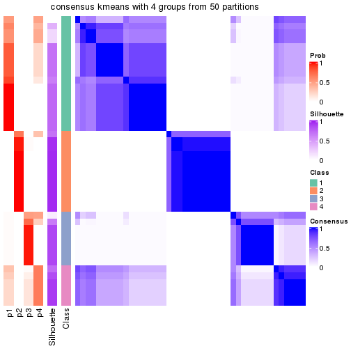 plot of chunk tab-node-021-consensus-heatmap-3