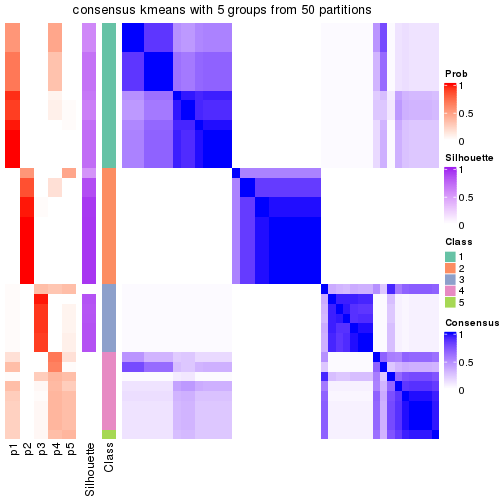 plot of chunk tab-node-021-consensus-heatmap-4