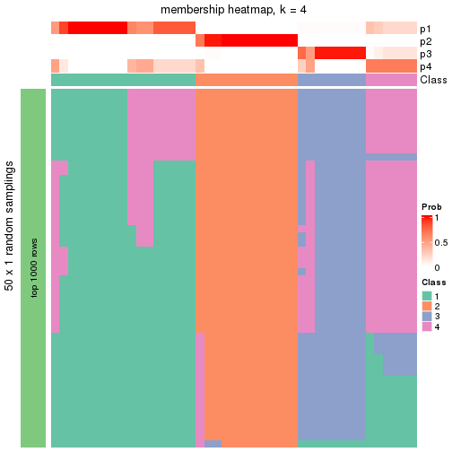 plot of chunk tab-node-021-membership-heatmap-3