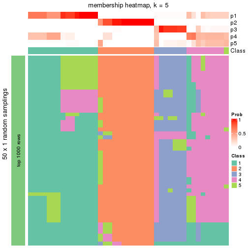 plot of chunk tab-node-021-membership-heatmap-4