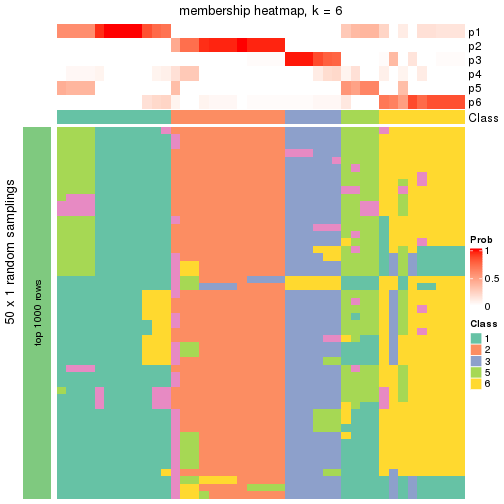 plot of chunk tab-node-021-membership-heatmap-5