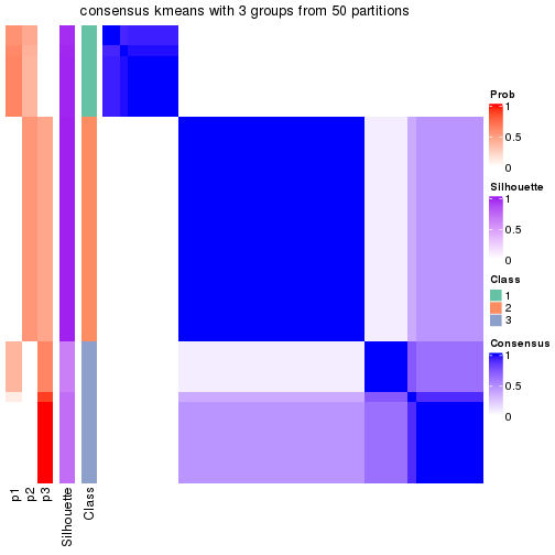 plot of chunk tab-node-022-consensus-heatmap-2