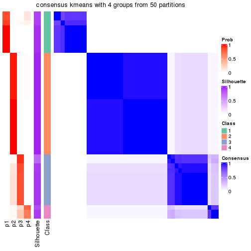 plot of chunk tab-node-022-consensus-heatmap-3