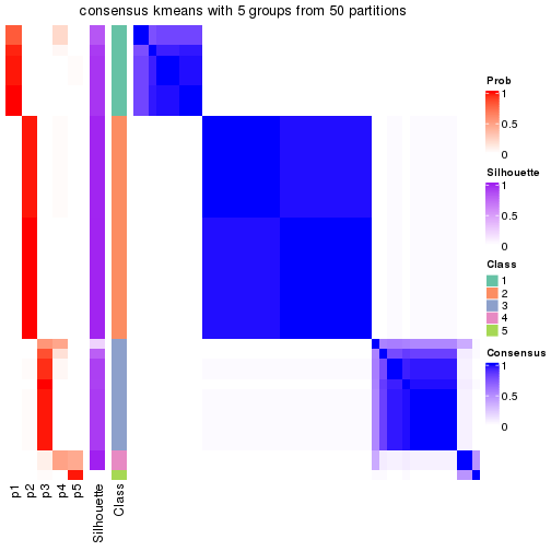 plot of chunk tab-node-022-consensus-heatmap-4