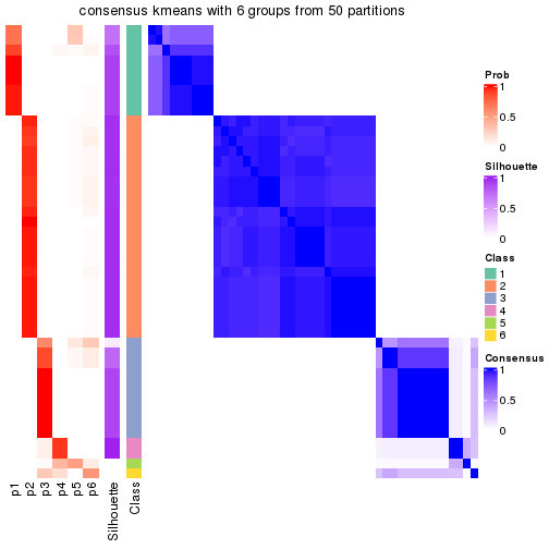 plot of chunk tab-node-022-consensus-heatmap-5