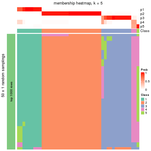 plot of chunk tab-node-022-membership-heatmap-4