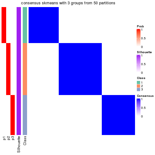 plot of chunk tab-node-023-consensus-heatmap-2