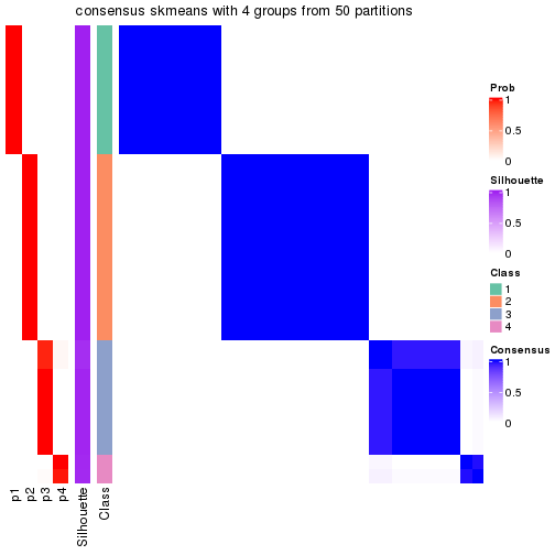 plot of chunk tab-node-023-consensus-heatmap-3