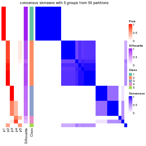 plot of chunk tab-node-023-consensus-heatmap-4