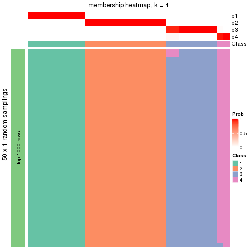 plot of chunk tab-node-023-membership-heatmap-3