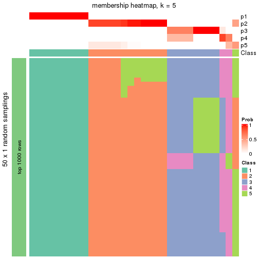 plot of chunk tab-node-023-membership-heatmap-4