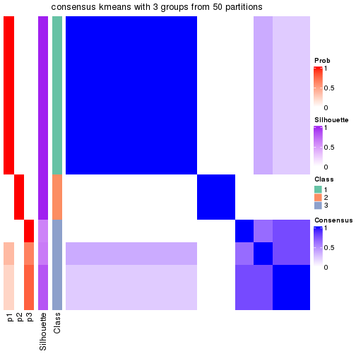 plot of chunk tab-node-0232-consensus-heatmap-2