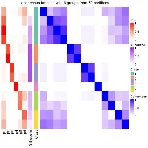 plot of chunk tab-node-0232-consensus-heatmap-5