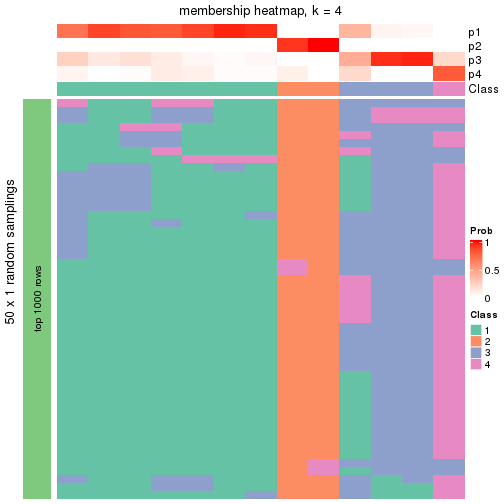 plot of chunk tab-node-0232-membership-heatmap-3