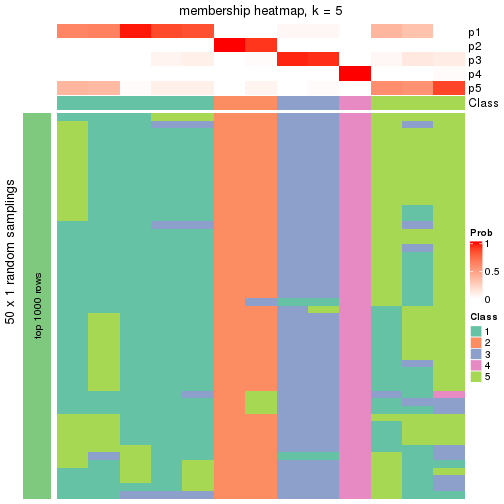 plot of chunk tab-node-0232-membership-heatmap-4