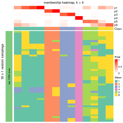 plot of chunk tab-node-0232-membership-heatmap-5