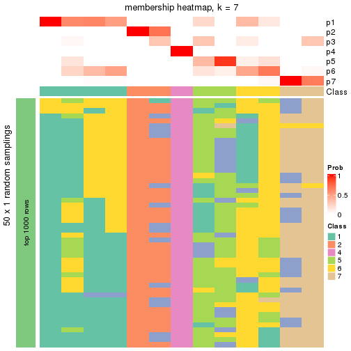 plot of chunk tab-node-0232-membership-heatmap-6