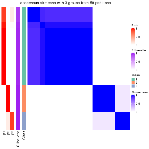 plot of chunk tab-node-024-consensus-heatmap-2