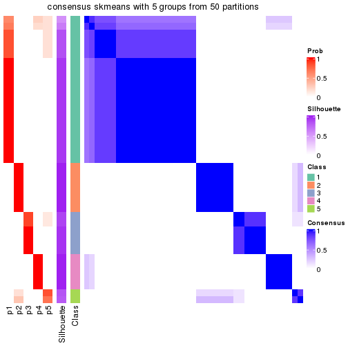 plot of chunk tab-node-024-consensus-heatmap-4