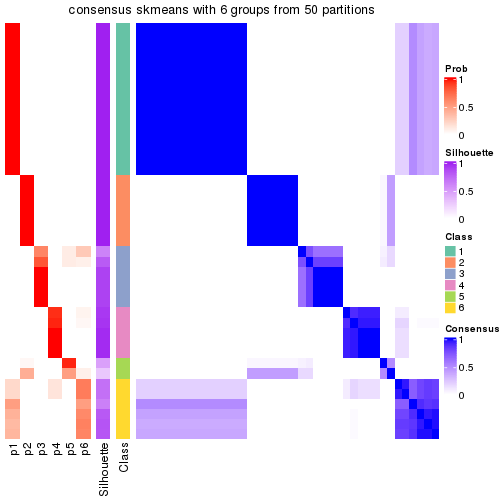 plot of chunk tab-node-024-consensus-heatmap-5