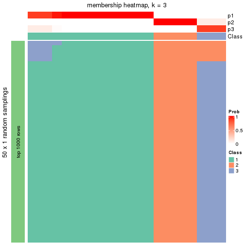 plot of chunk tab-node-024-membership-heatmap-2