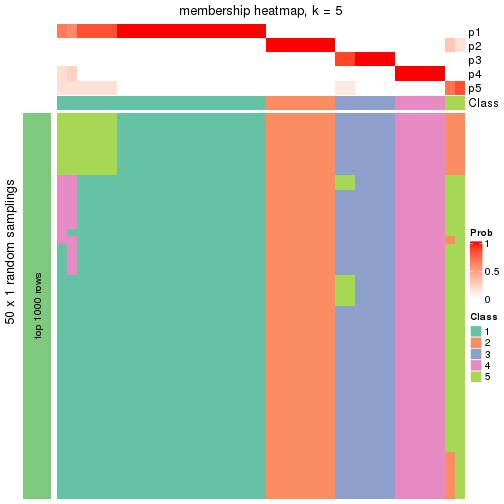 plot of chunk tab-node-024-membership-heatmap-4