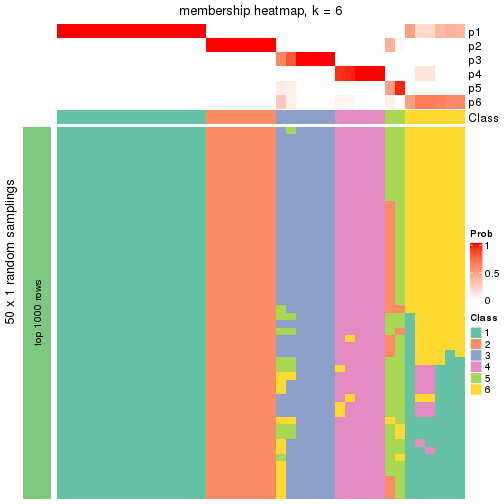 plot of chunk tab-node-024-membership-heatmap-5