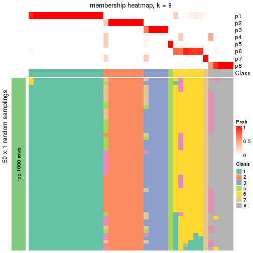 plot of chunk tab-node-024-membership-heatmap-7