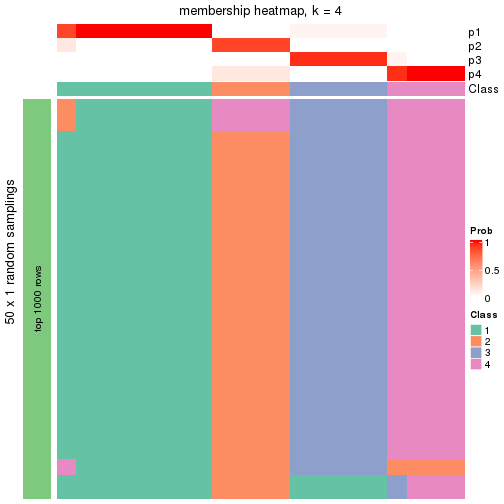 plot of chunk tab-node-0241-membership-heatmap-3