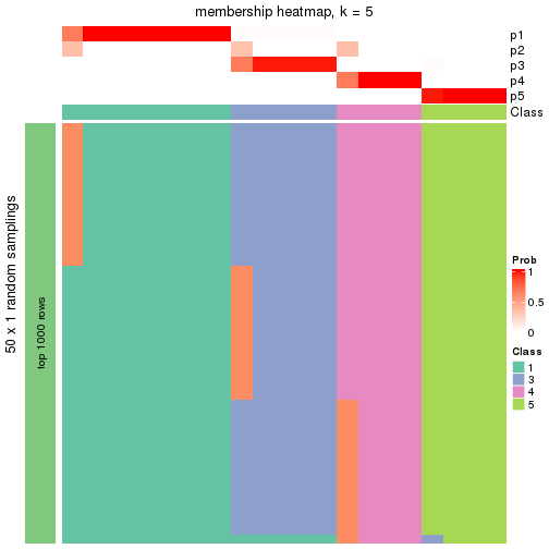 plot of chunk tab-node-0241-membership-heatmap-4